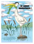 Ne jamais abandonner