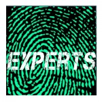 experts